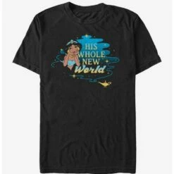 Top 10 ✨ Extra Soft Disney Aladdin His Whole New World T-Shirt ✔️