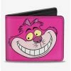 Deals ⭐ Disney Alice In Wonderland Chelshire Cat Face and Stripes Bi-Fold Wallet ✔️