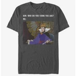 Coupon 😍 Disney Villains Evil Queen Meme T-Shirt 👏