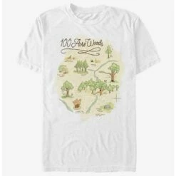 Wholesale ⭐ Disney Winnie The Pooh 100 Acre Map T-Shirt 💯