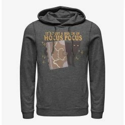 Outlet 👏 Disney Hocus Pocus Binx And Book Hoodie ⌛
