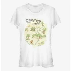 Wholesale ❤️ Disney Winnie The Pooh Acre Map Girls T-Shirt 🛒