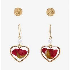 Wholesale ⭐ Disney Beauty And The Beast Dried Rose Earring Set 🤩
