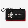Best reviews of ⭐ Disney Mickey Mouse NFL Atlanta Falcons Outdoor Picnic Blanket 😍