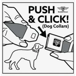 Coupon 🛒 Disney Nightmare Before Christmas Character Group Cemetery Seatbelt Buckle Dog Collar 💯 -Dressup Outfits Shop 19876783 av3