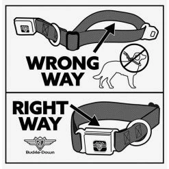 Coupon 😀 Nightmare Before Christmas Jack Expression Stack Seatbelt Buckle Dog Collar 🥰 -Dressup Outfits Shop 19876787 av4